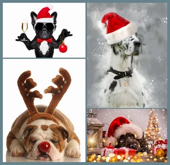  Dogas su santa hat,Kalėdų šuo,5D kvadratiniu Diamond tapybos, Siuvinėjimo,Kryželiu,3D,Mozaika,Rankdarbiams,Amatų dovana