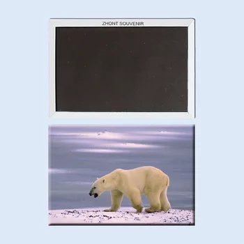  taigi, mielas baltasis Lokys, Grenlandija bauda dovanos draugams 22301 Suvenyrai visame Pasaulyje, Turizmo; šaldytuvas magnetas
